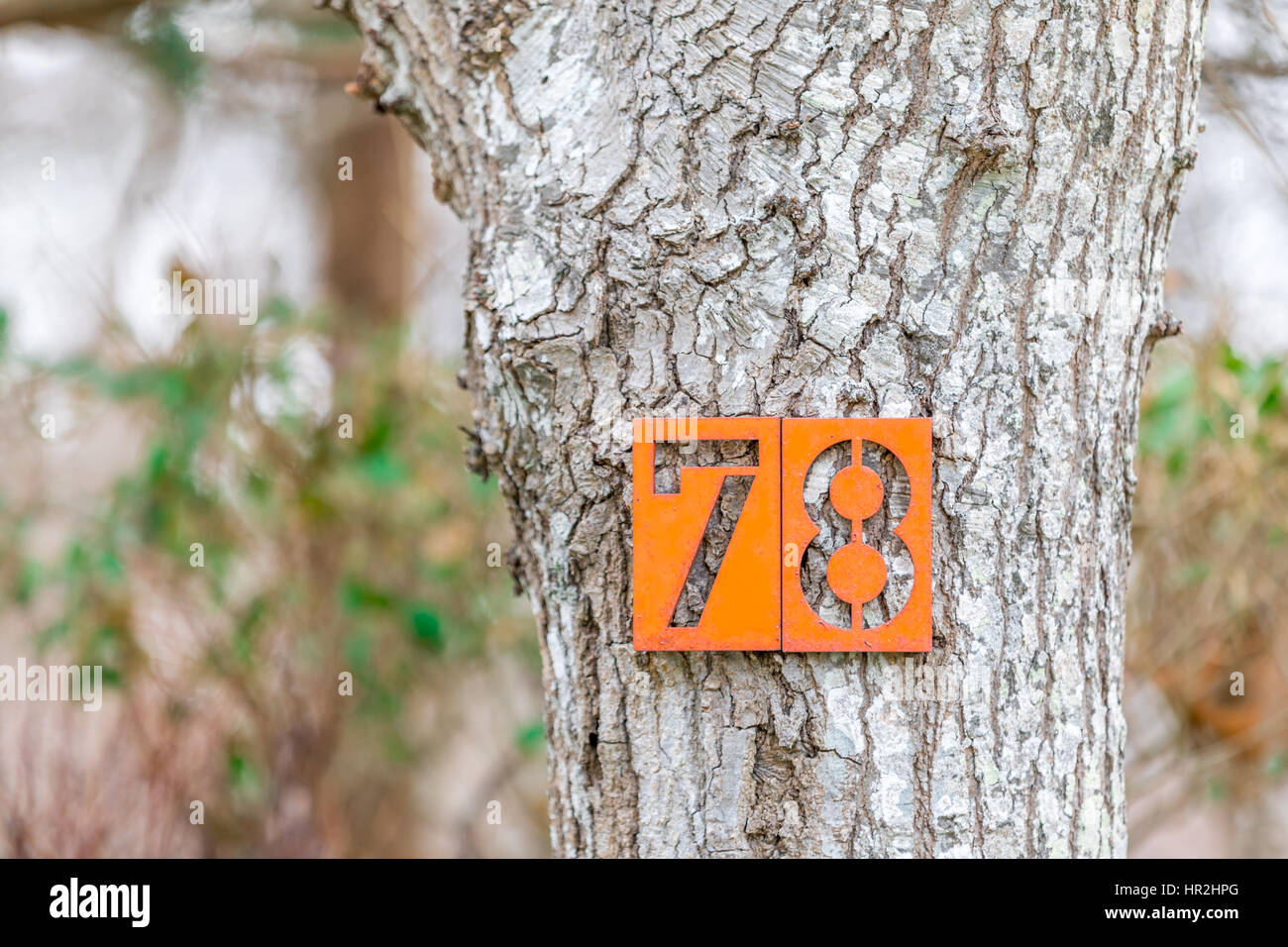 Hausnummer, an einem Baum auf der Seite einer Straße 78 Stockfotografie -  Alamy