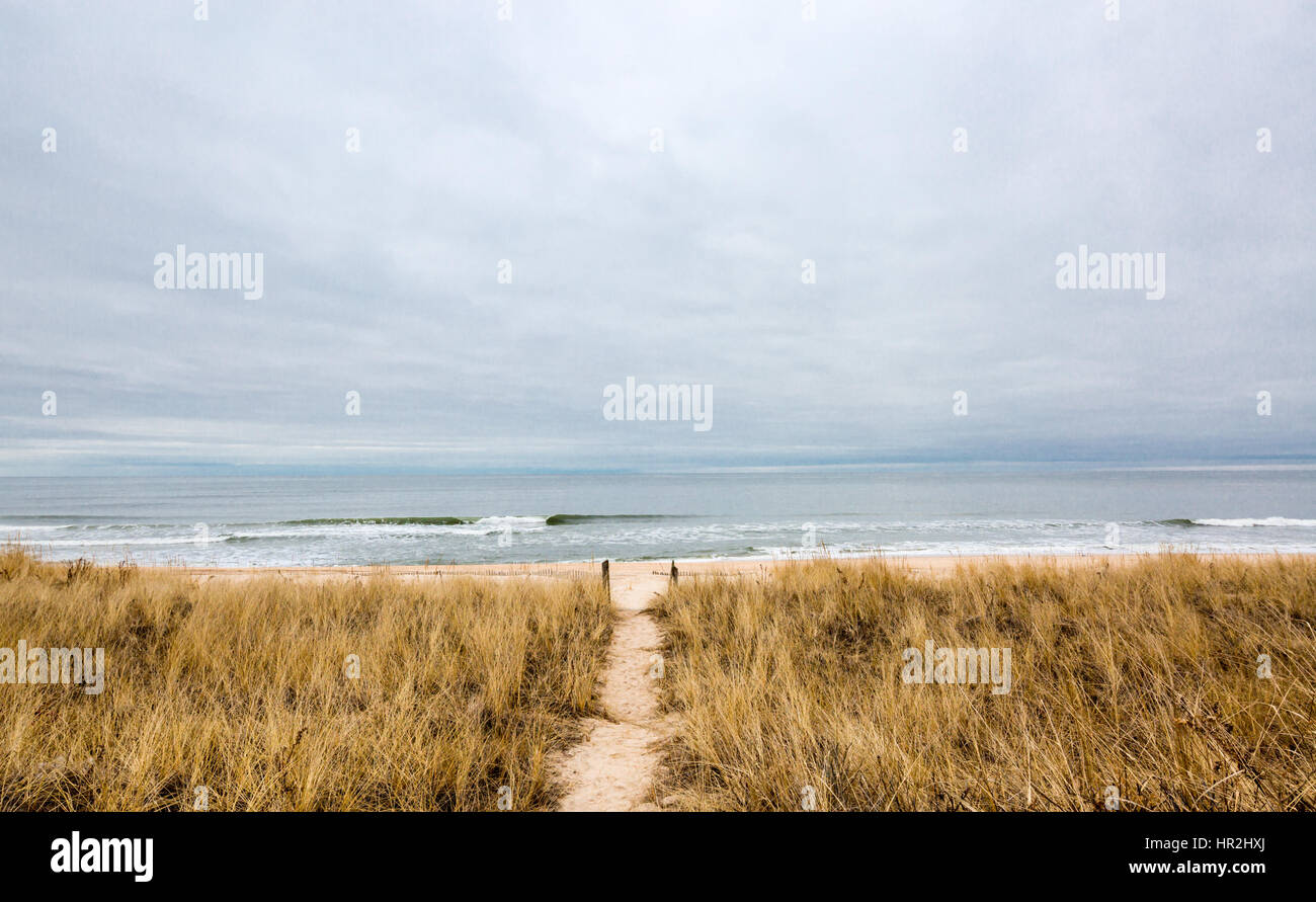 ein sandiger Pfad führt ein Ocean Beach in Eastern Long Island Stockfoto