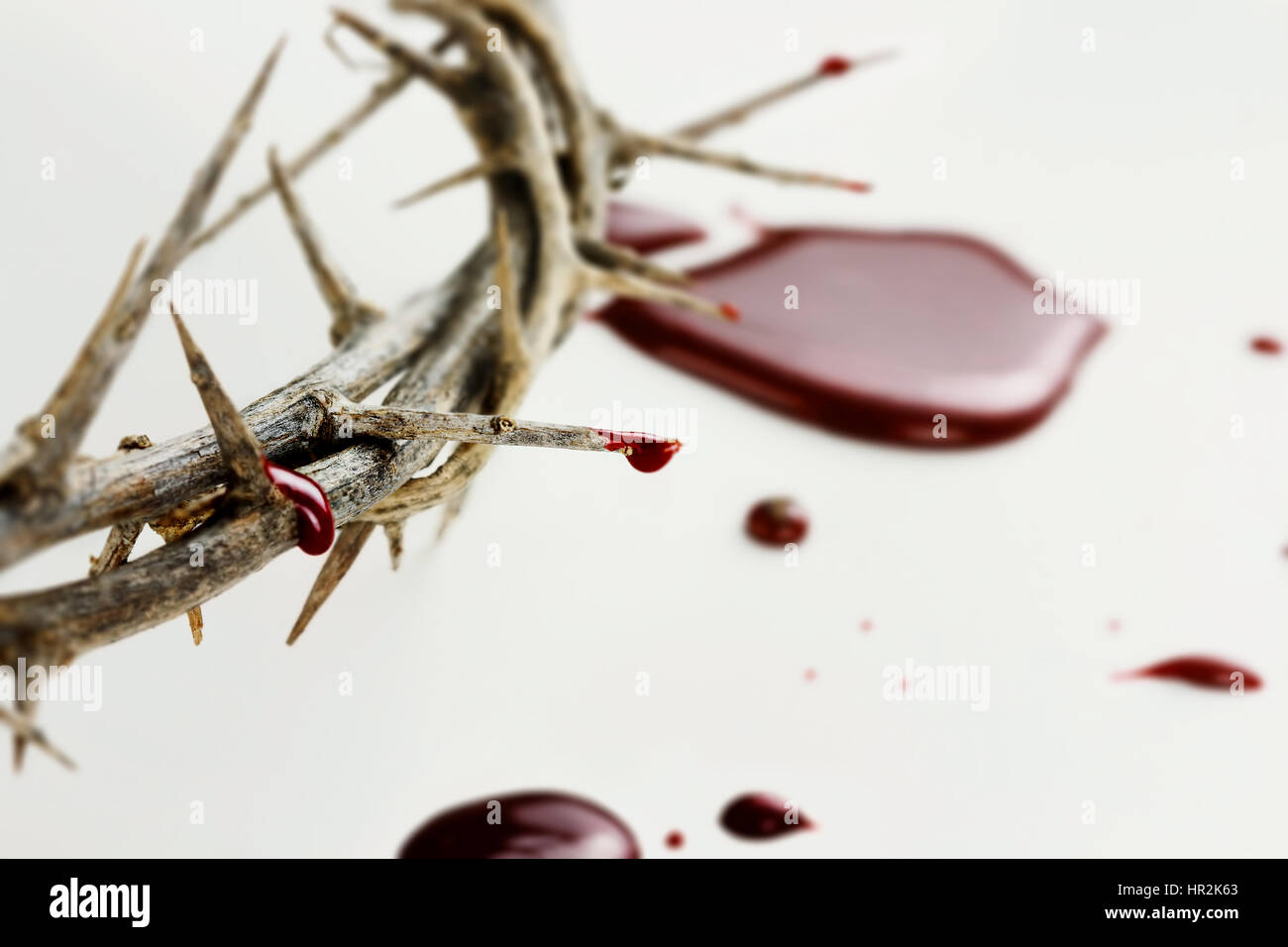 Krone von Dornen mit Tropfen Blut auf weißem Hintergrund. Stockfoto Krone von Dornen mit Tropfen Blut auf weißem Hintergrund. Stockfoto