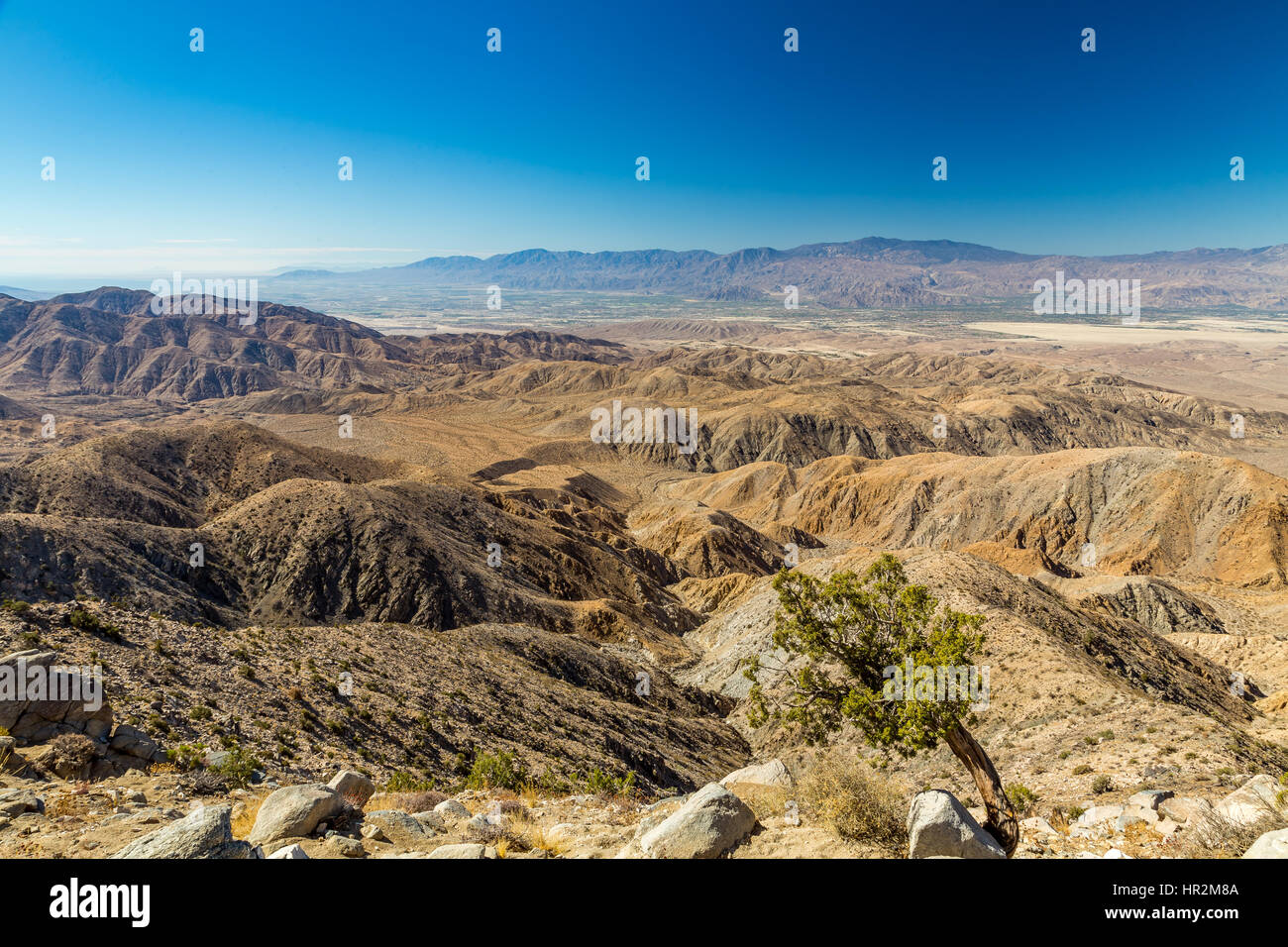 Joshua Tree National Park ist ein riesiges Naturschutzgebiet in Südkalifornien. Es zeichnet sich durch zerklüftete Felsformationen und krassen Wüstenlandschaften. Stockfoto