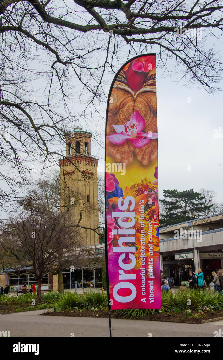 London, Kew - 18. Februar 2017: Eine Veranstaltung im Botanischen Garten Kew, London. Orchideen, eine bunte Feier des lebendigen Pflanzen und Kultur Indiens Stockfoto