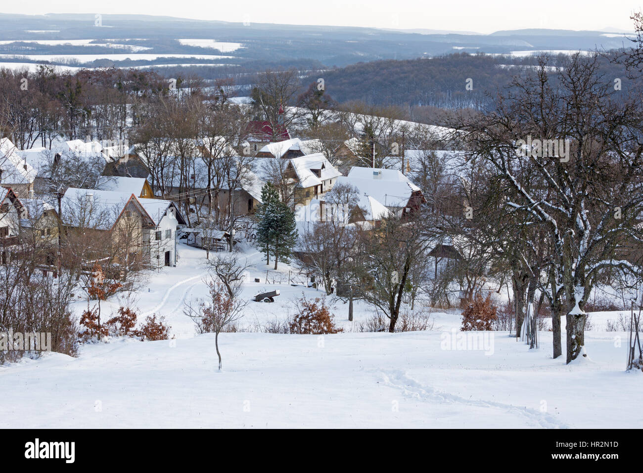 Sebechleby - die Siedlung der alten Weinkeller aus der mittleren Slowakei (Stara Hora) im Winter beherbergt. Stockfoto
