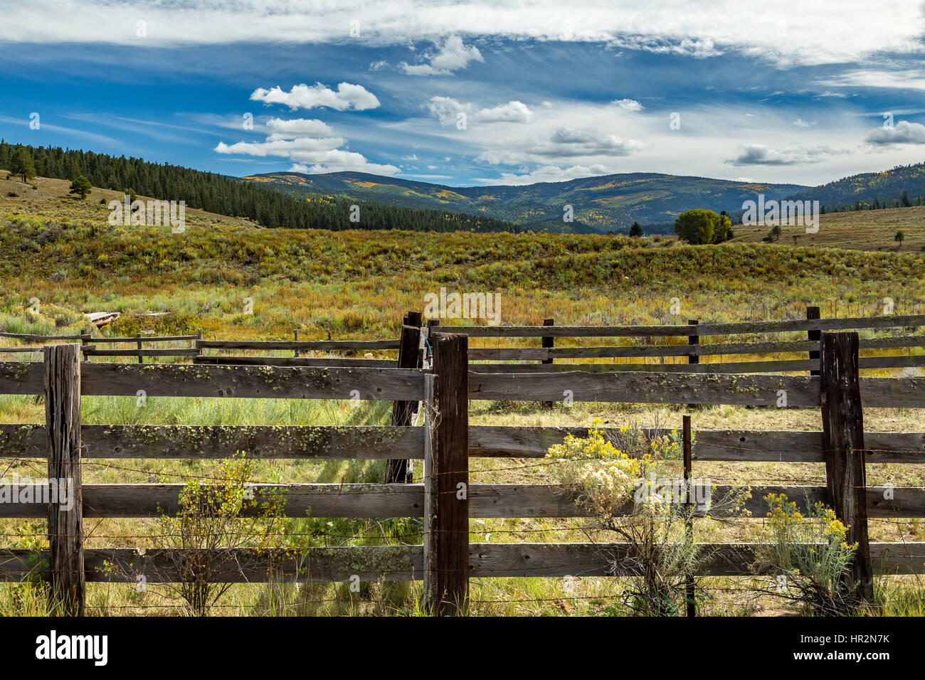 Ein Blick auf Osha Berg vom US Highway 64 entlang der Enchanted Kreis um Wheeler Peak im Norden von New Mexico. Stockfoto
