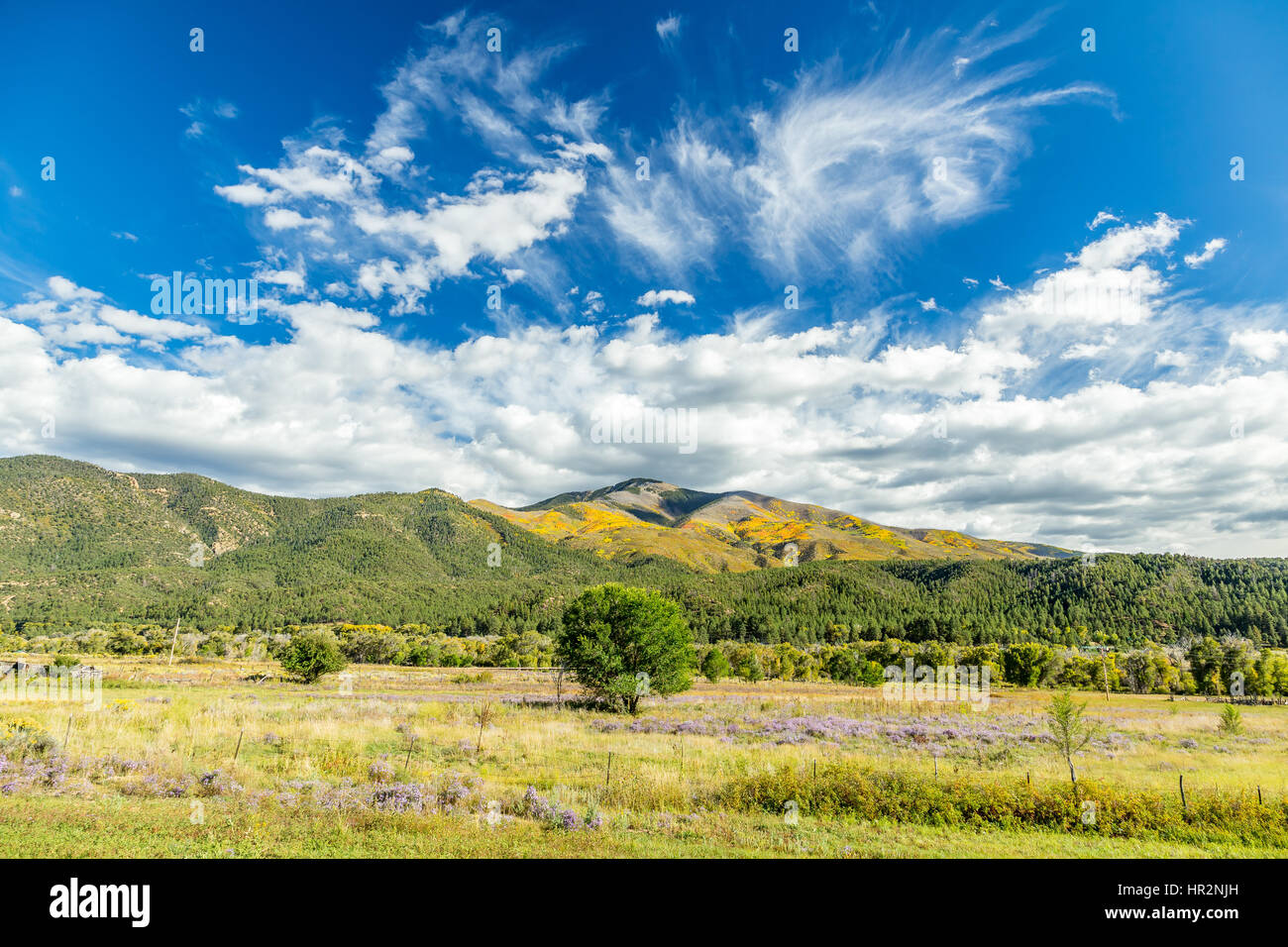 Die verzauberte Kreis Scenic Byway ist ein 84 Meile New Mexico Scenic Byway und National Forest Scenic Byway um Wheeler Berg befindet sich im nördlichen N Stockfoto