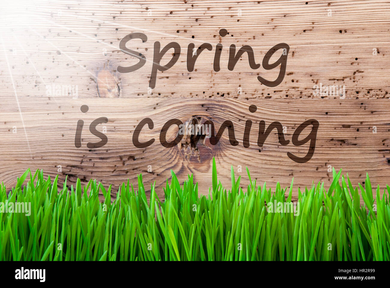 Englisch Text Frühling steht vor der Tür. Frühling Saison Gruß Card