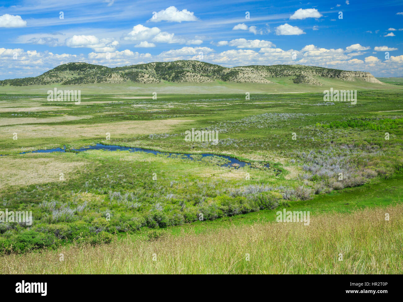 Feuchtgebiete im Naturschutzgebiet Pine butte Sumpf Preserve in der Nähe von Choteau, montana Stockfoto