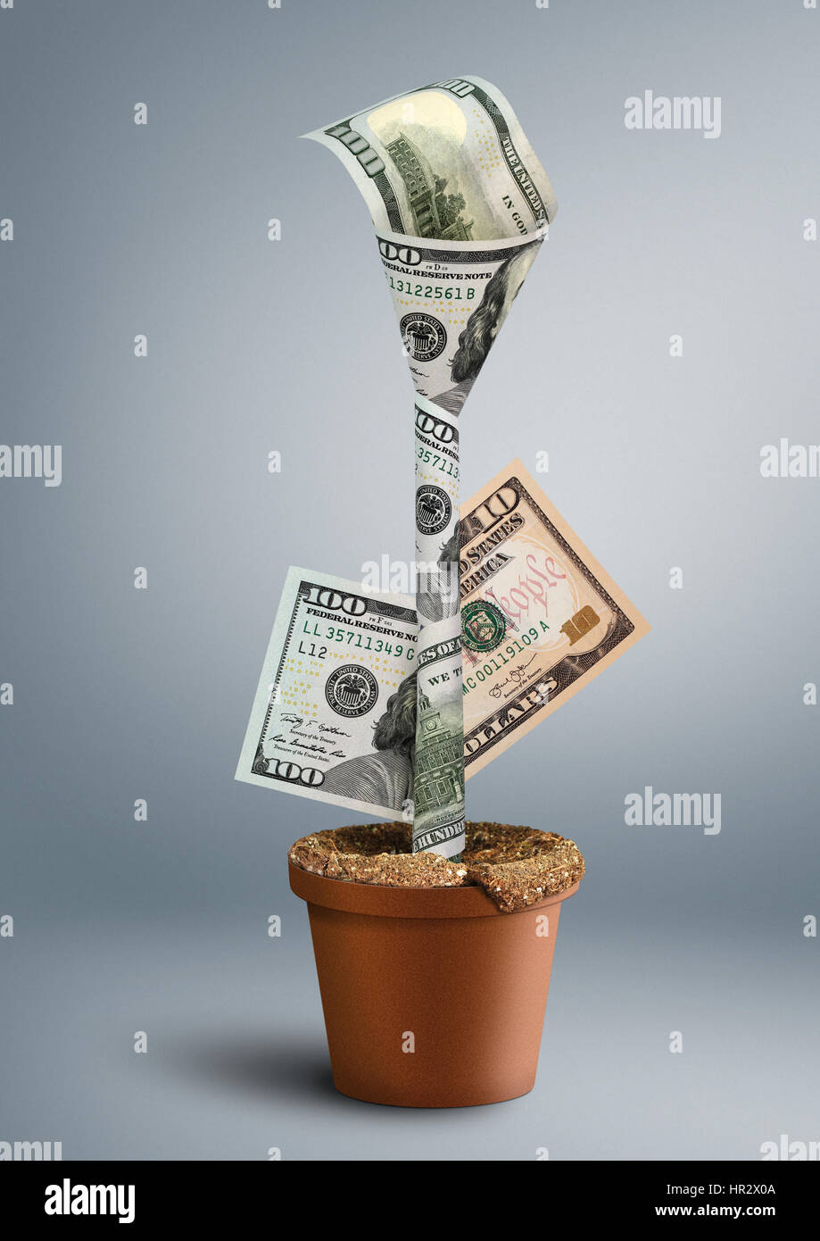 wachsenden Reichtum Kreativkonzept, Geld als Blume im Topf Stockfotografie  - Alamy