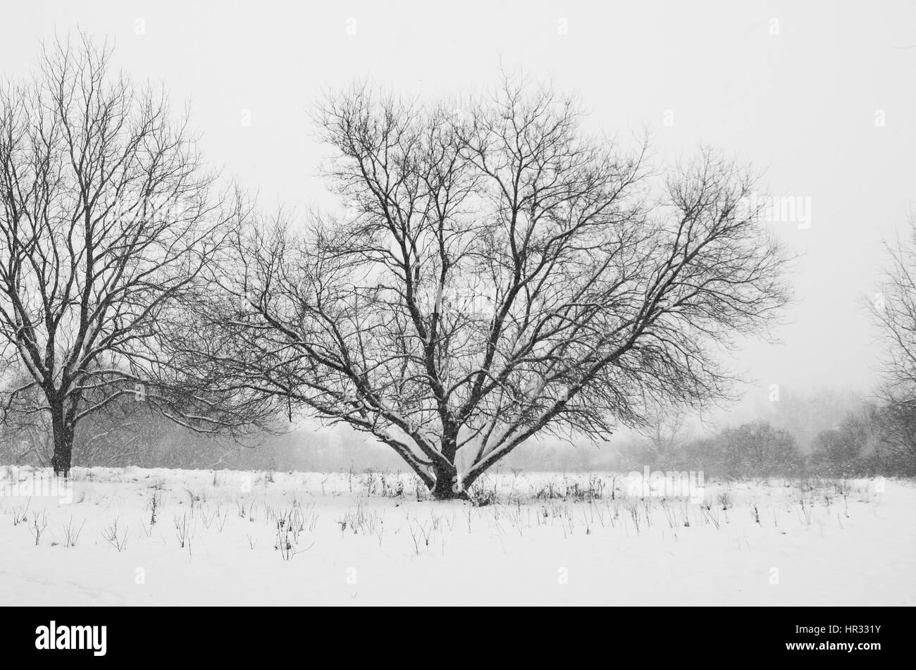 Snow trail Stockfoto