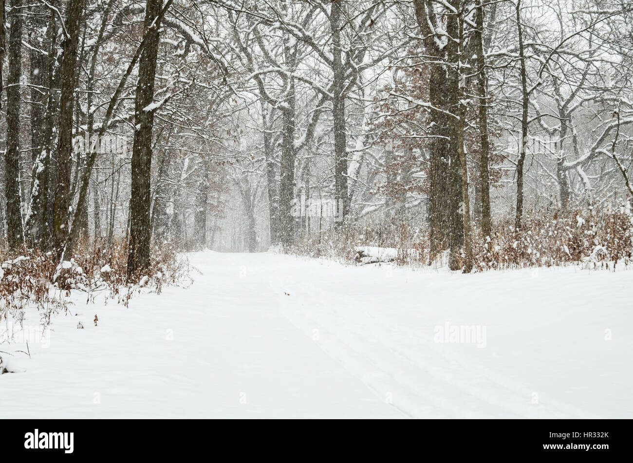 Snow trail Stockfoto