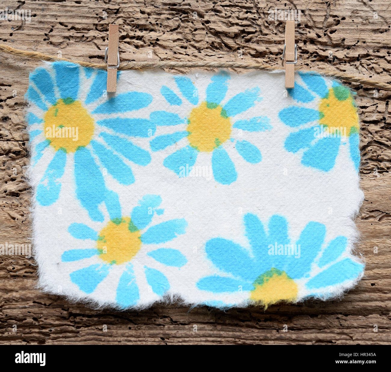 Blaues Gänseblümchen Hinweis auf Heringe, Platz für Kopie Stockfoto