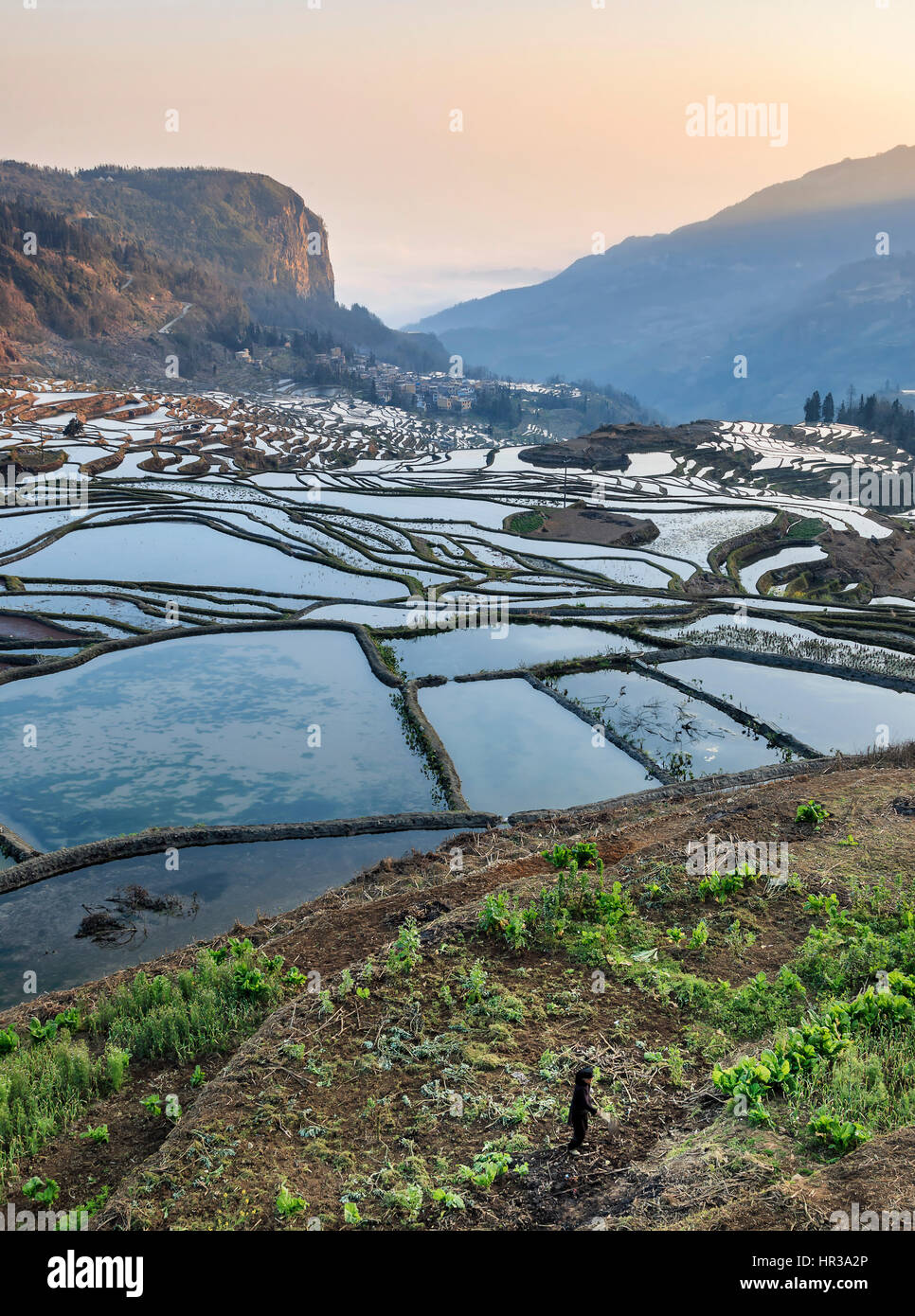 Sonnenaufgang über Reisterrassen von YuanYang in Yunnan, China, eines der jüngsten UNESCO-Welterbestätten Stockfoto