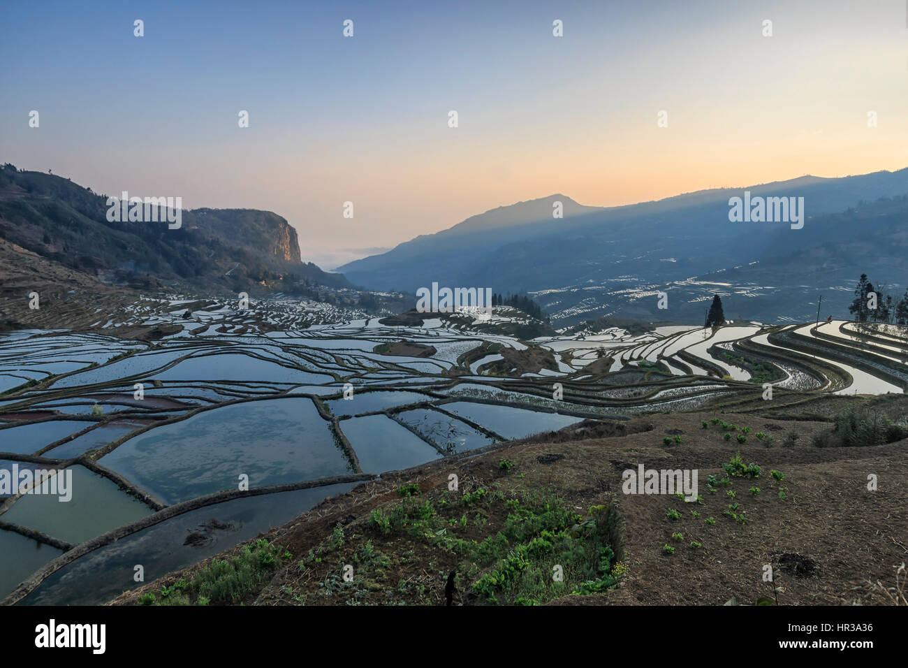 Sonnenaufgang über Reisterrassen von YuanYang in Yunnan, China, eines der jüngsten UNESCO-Welterbestätten Stockfoto