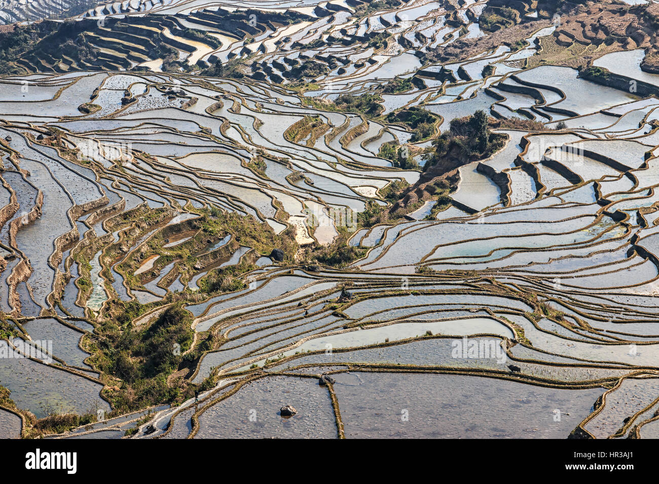 Reisterrassen von YuanYang in Yunnan, China, eines der jüngsten UNESCO-Welterbestätten Stockfoto