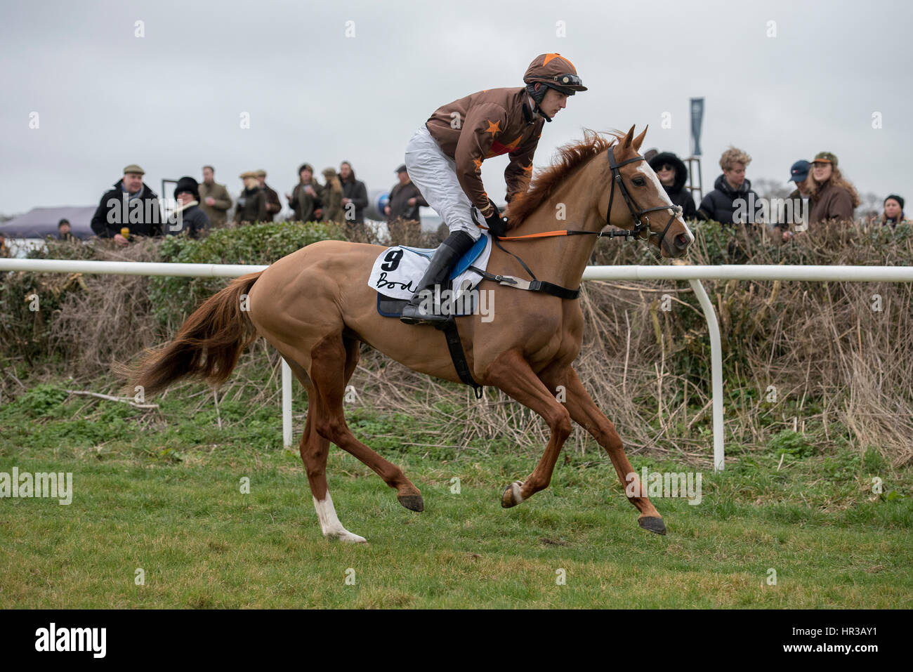 Lande Allianz Tag - Badbury Rings Punkt zu Punkt 26. Februar 2017 Stockfoto