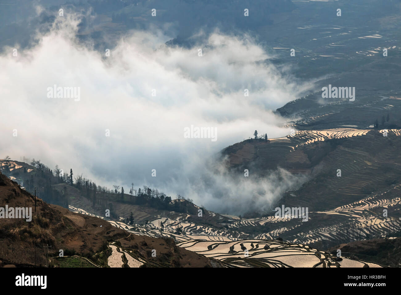 Sonnenaufgang über Reisterrassen von YuanYang in Yunnan, China, eines der jüngsten UNESCO-Welterbestätten Stockfoto