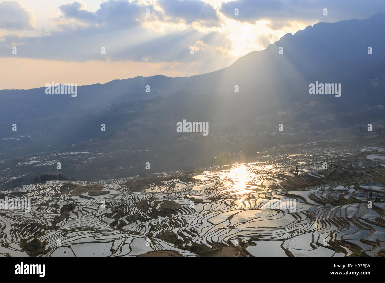 Sonnenaufgang über Reisterrassen von YuanYang in Yunnan, China, eines der jüngsten UNESCO-Welterbestätten Stockfoto