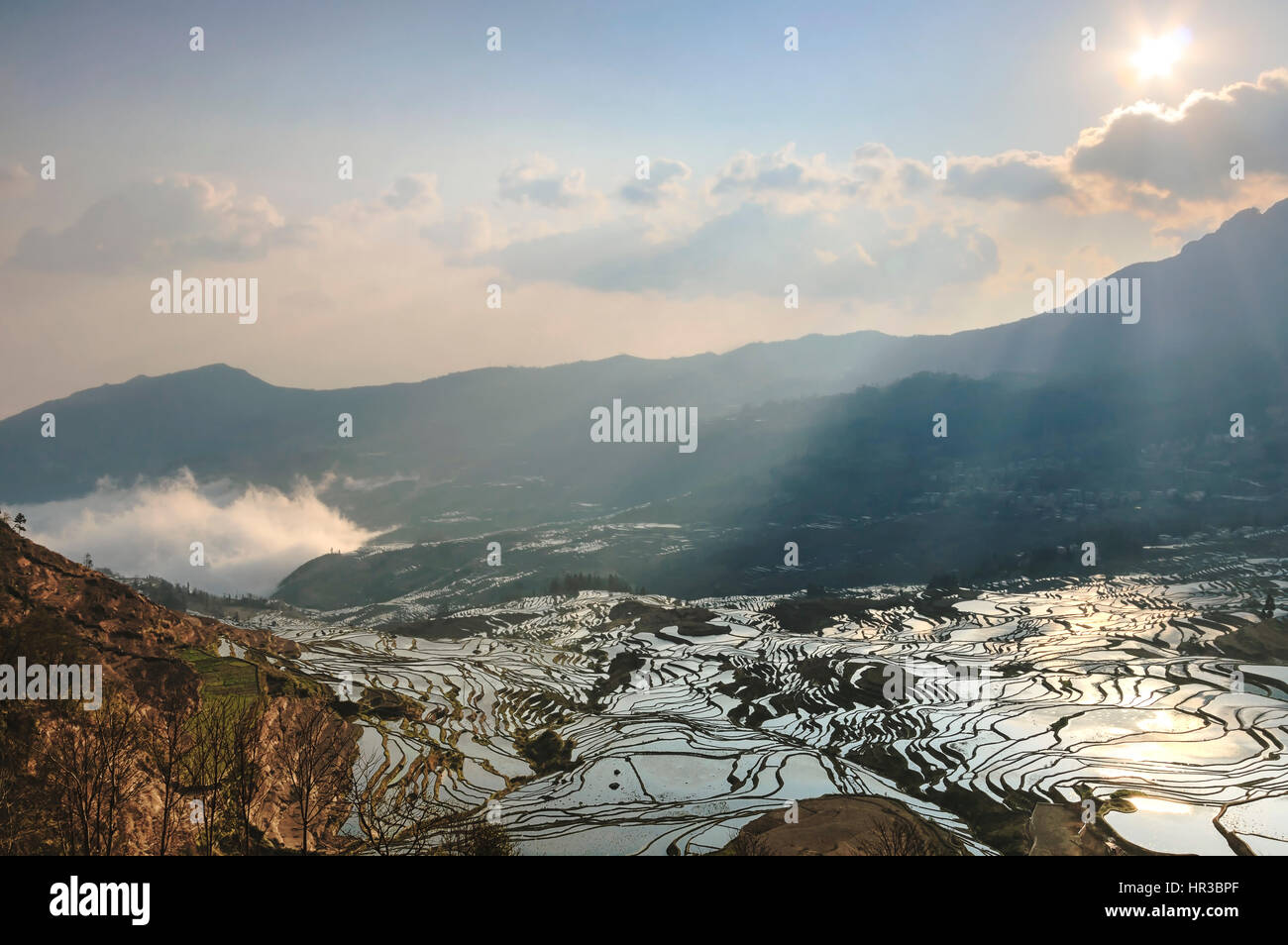 Sonnenaufgang über Reisterrassen von YuanYang in Yunnan, China, eines der jüngsten UNESCO-Welterbestätten Stockfoto