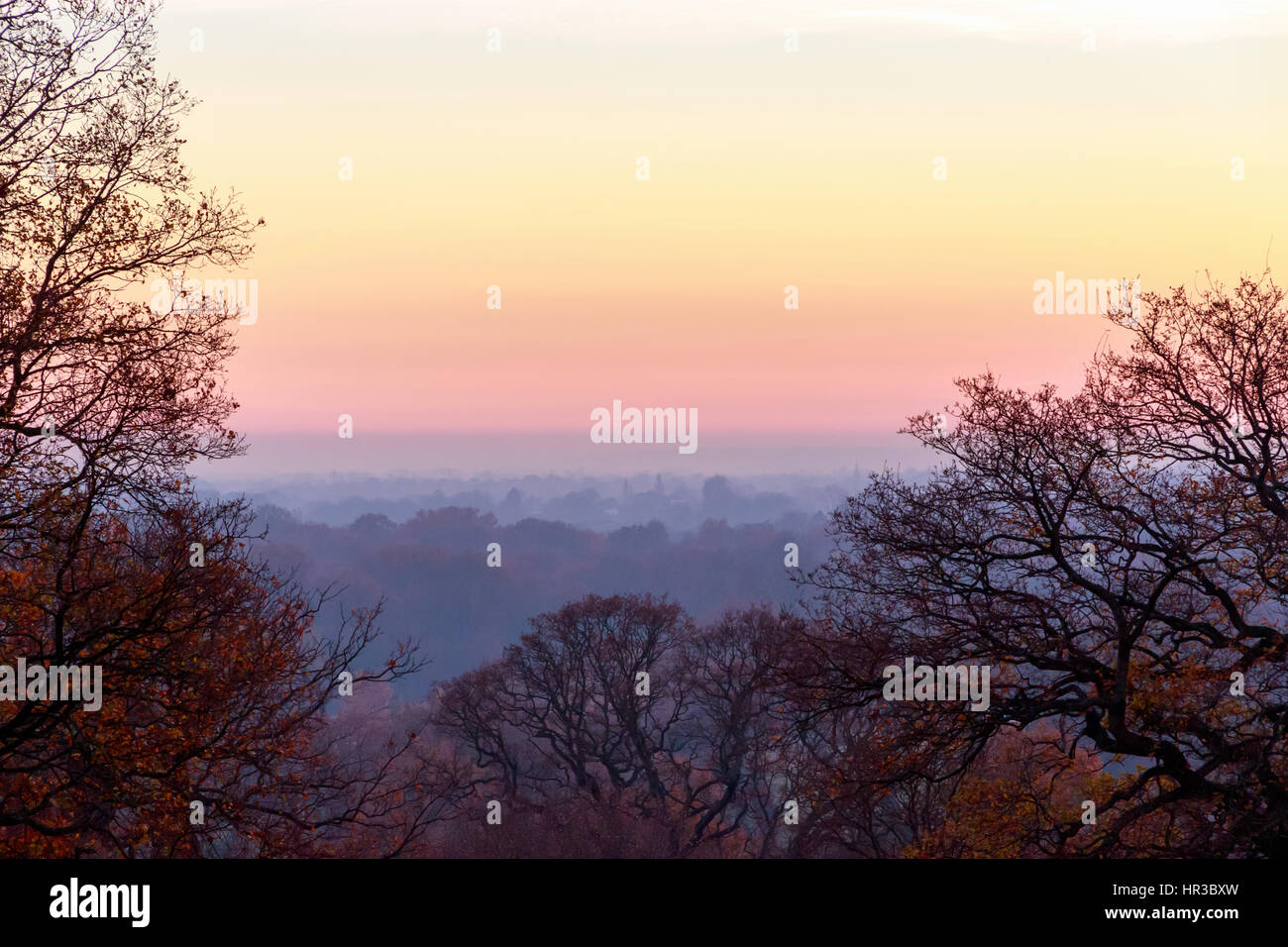 Sonnenuntergang gesehen aus Richmond Park, London Stockfoto