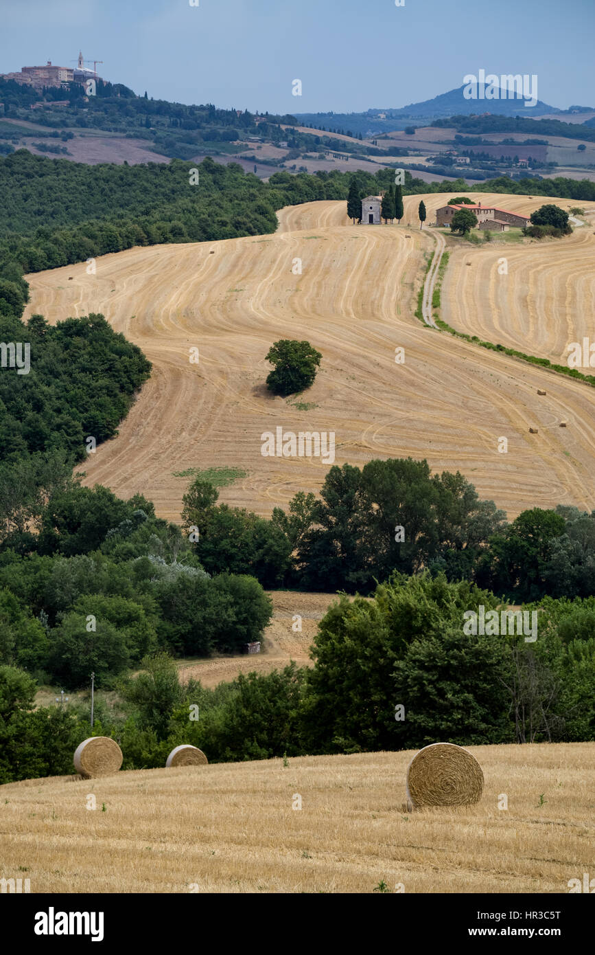 Am malerischen toskanischen Landschaft mit sanften Hügeln und Tälern im goldenen Morgenlicht, Val dOrcia, Italien. Stockfoto