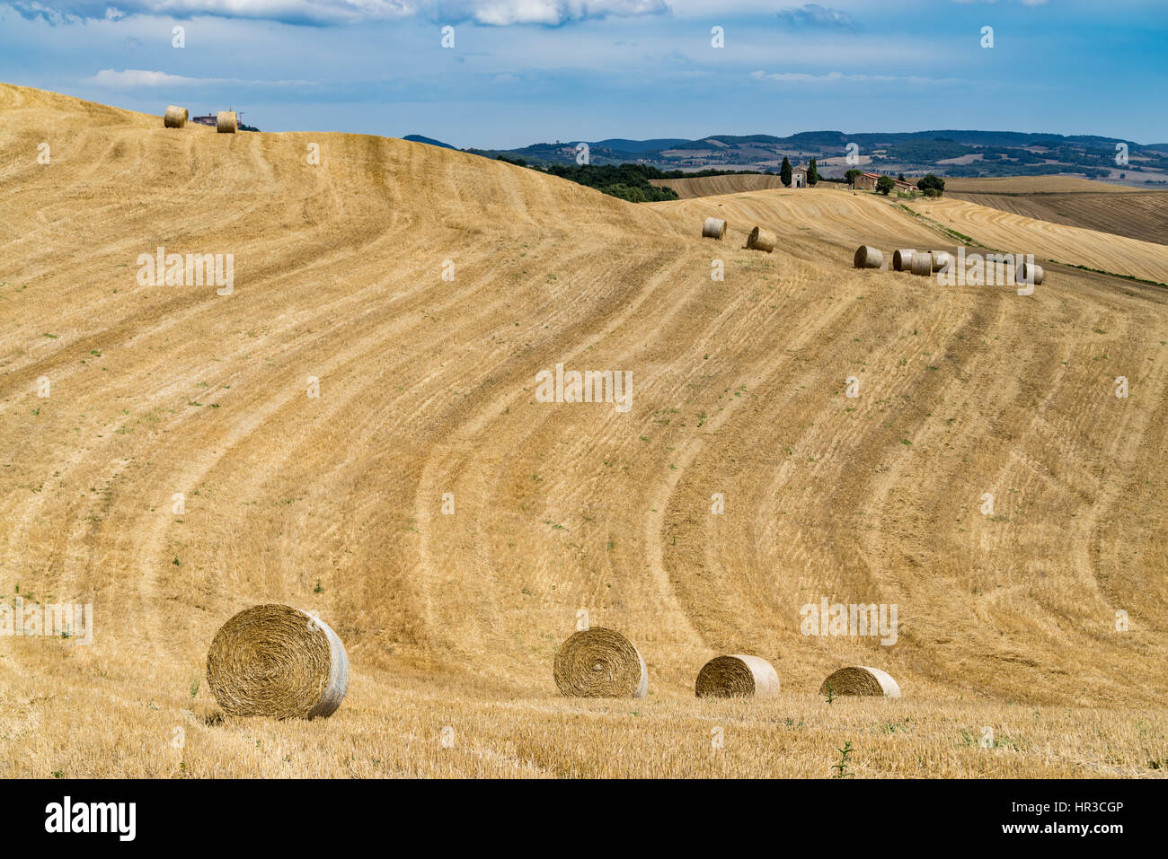 Am malerischen toskanischen Landschaft mit sanften Hügeln und Tälern im goldenen Morgenlicht, Val dOrcia, Italien. Kapelle der Madonna di Vitaleta Stockfoto