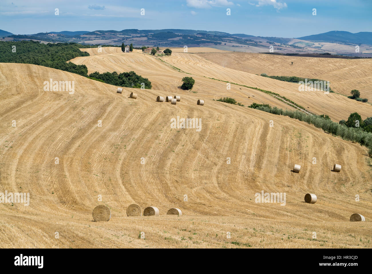 Am malerischen toskanischen Landschaft mit sanften Hügeln und Tälern im goldenen Morgenlicht, Val dOrcia, Italien. Kapelle der Madonna di Vitaleta Stockfoto