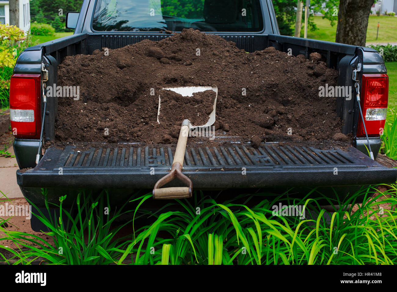Eine LKW-Ladung von Kompost oder Mulch bereit, aus schaufelte. Stockfoto