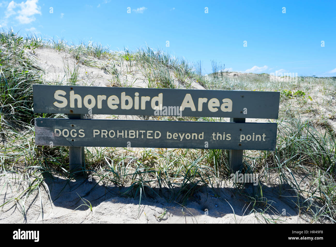 Shorebird Bereich Warnschild auf Conjola Beach, New South Wales, Australien Stockfoto