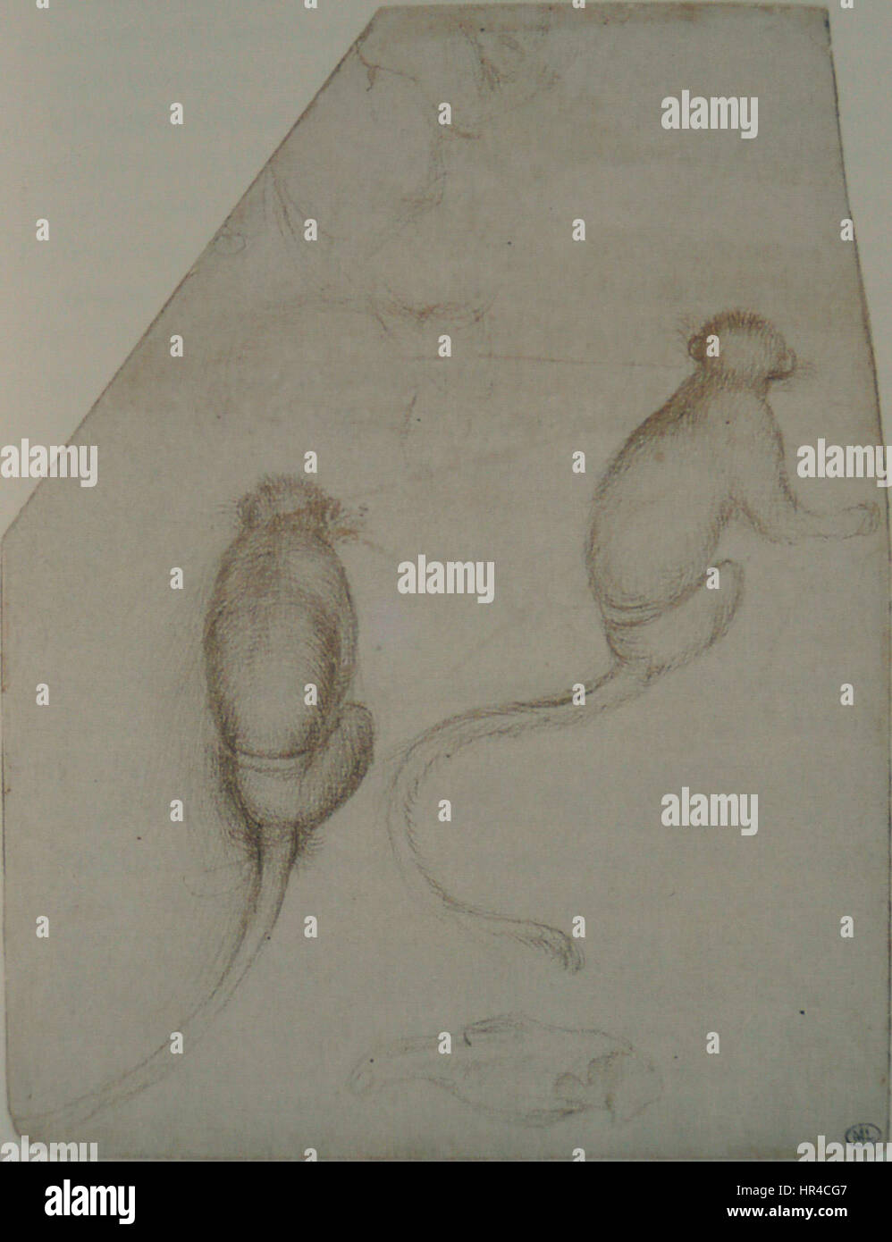 Pisanello - Codex Vallardi 2393 r Stockfoto
