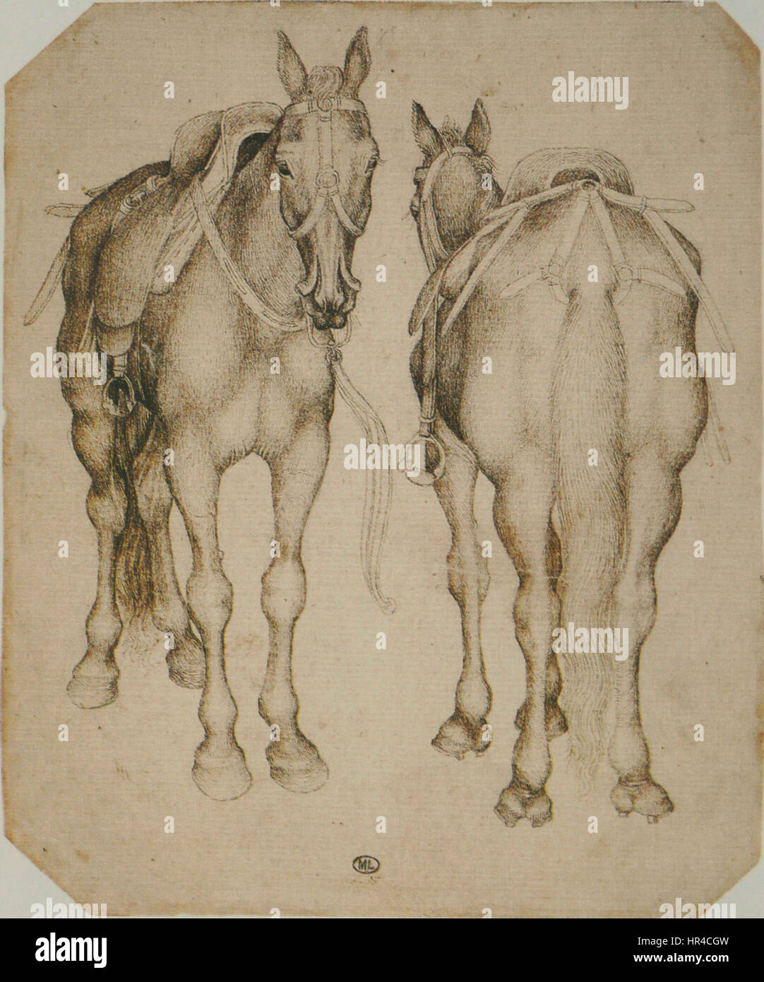 Pisanello - Codex Vallardi 2468 Stockfoto