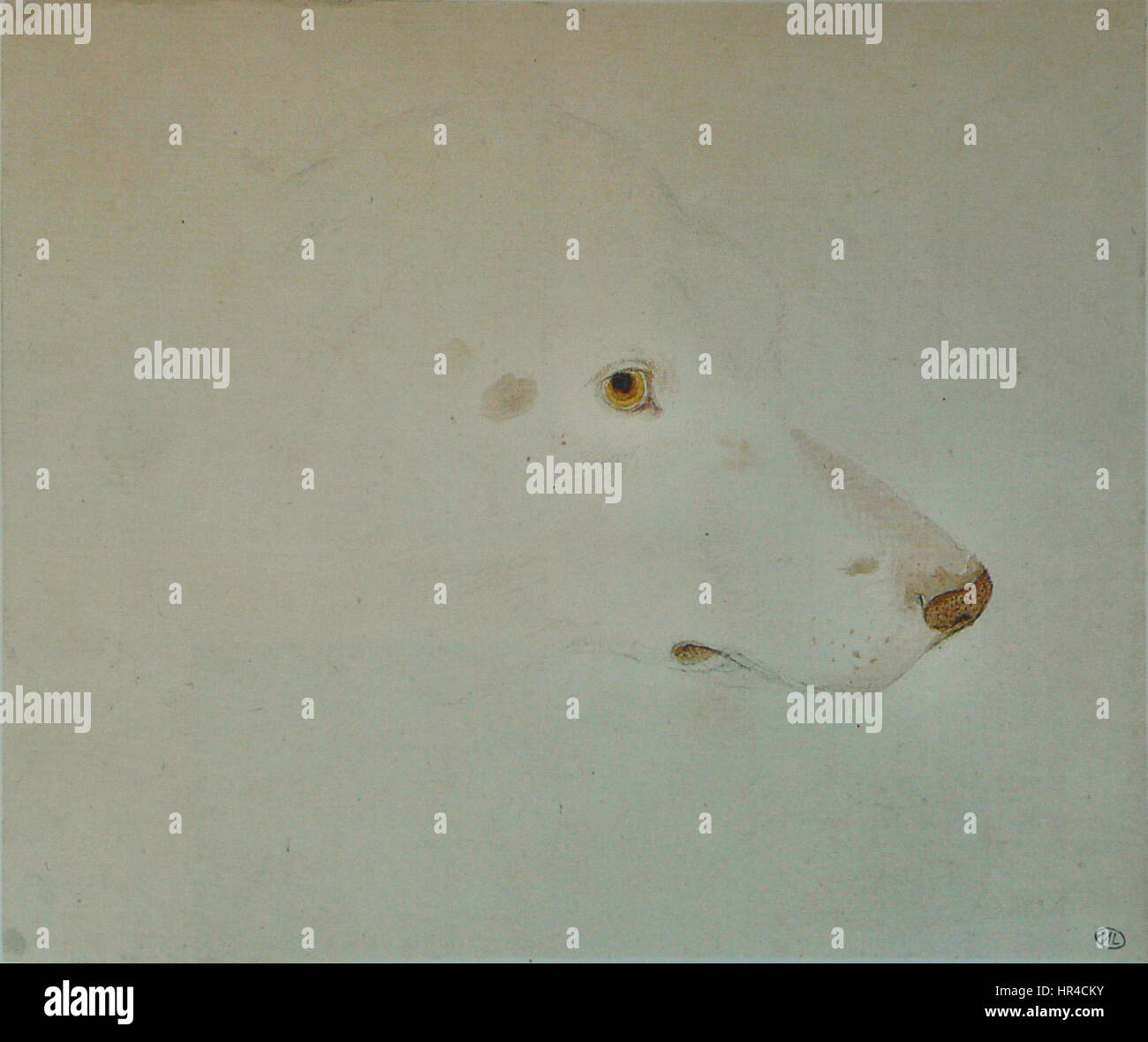 Pisanello - Codex Vallardi 2429 r Stockfoto