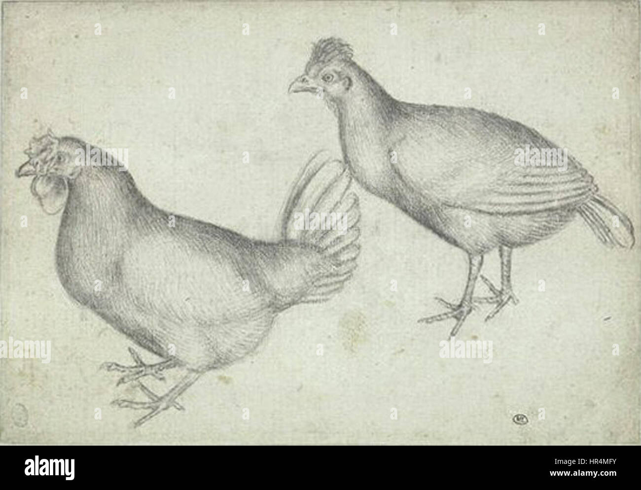 Pisanellos „Codex Vallardi 2510“ ist Teil einer Sammlung von Zeichnungen des italienischen Renaissance-Künstlers. Dieses spezifische Werk zeigt Pisanellos feingliedrige Linienarbeit und Liebe zum Detail, insbesondere in seinen Studien über Figuren und natürliche Elemente, die seine Beherrschung der Renaissance-Techniken widerspiegeln. Stockfoto