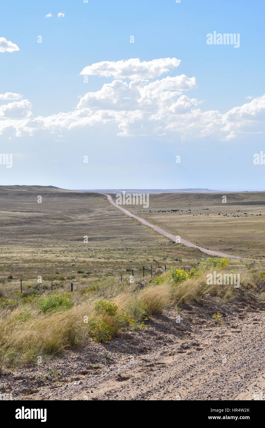 Vertikales Bild Schotterstraße in die Pawnee National Grassland in Ost-Colorado Stockfoto