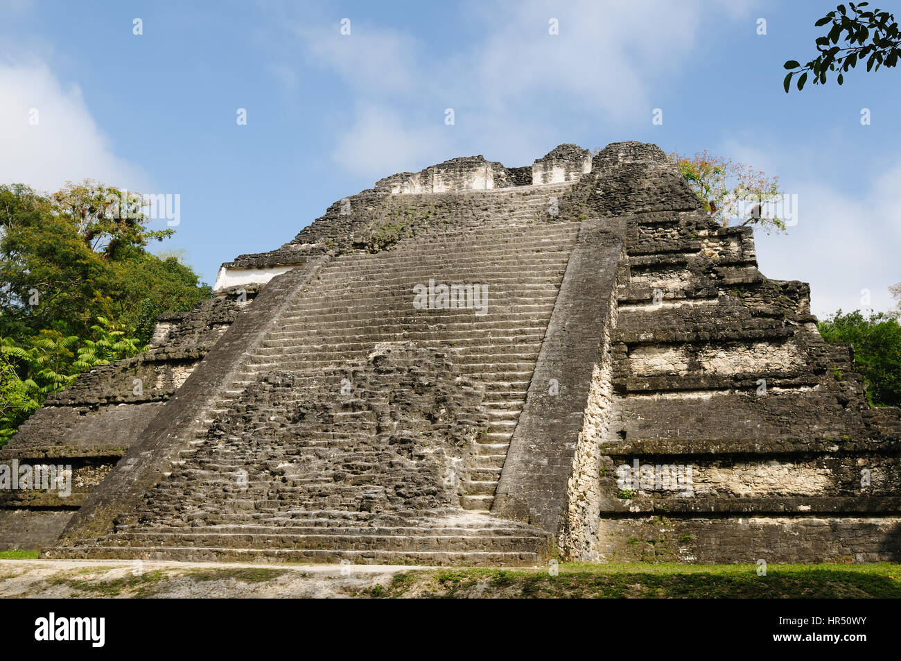 Guatemala, Maya-Ruinen im Dschungel in Tikal. Das Bild zeigt Stockfoto