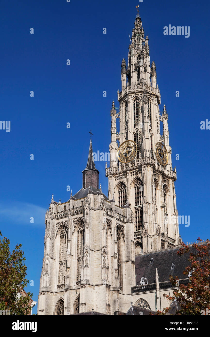 Türme der Kathedrale unserer lieben Frau in Antwerpen, Belgien. Stockfoto