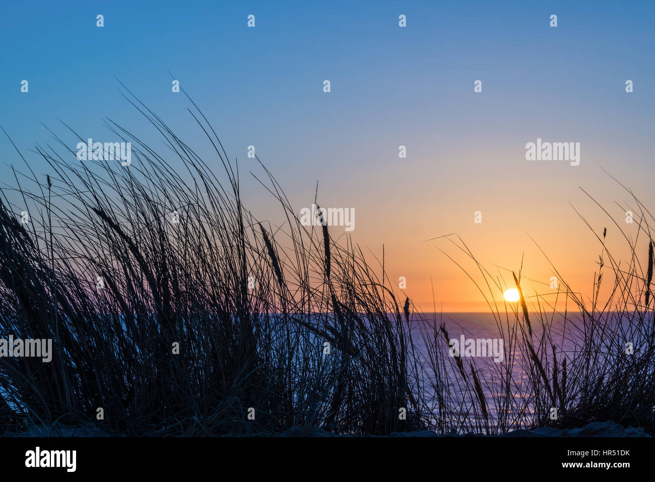 Sonnenuntergang am Atlantik, Strandhafer Silhouette in Lacanau-Frankreich Stockfoto