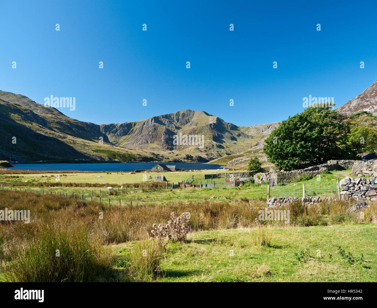 Berg Y Garn in Llyn Ogwen in Snowdonias Ogwen Valley angesehen Stockfoto