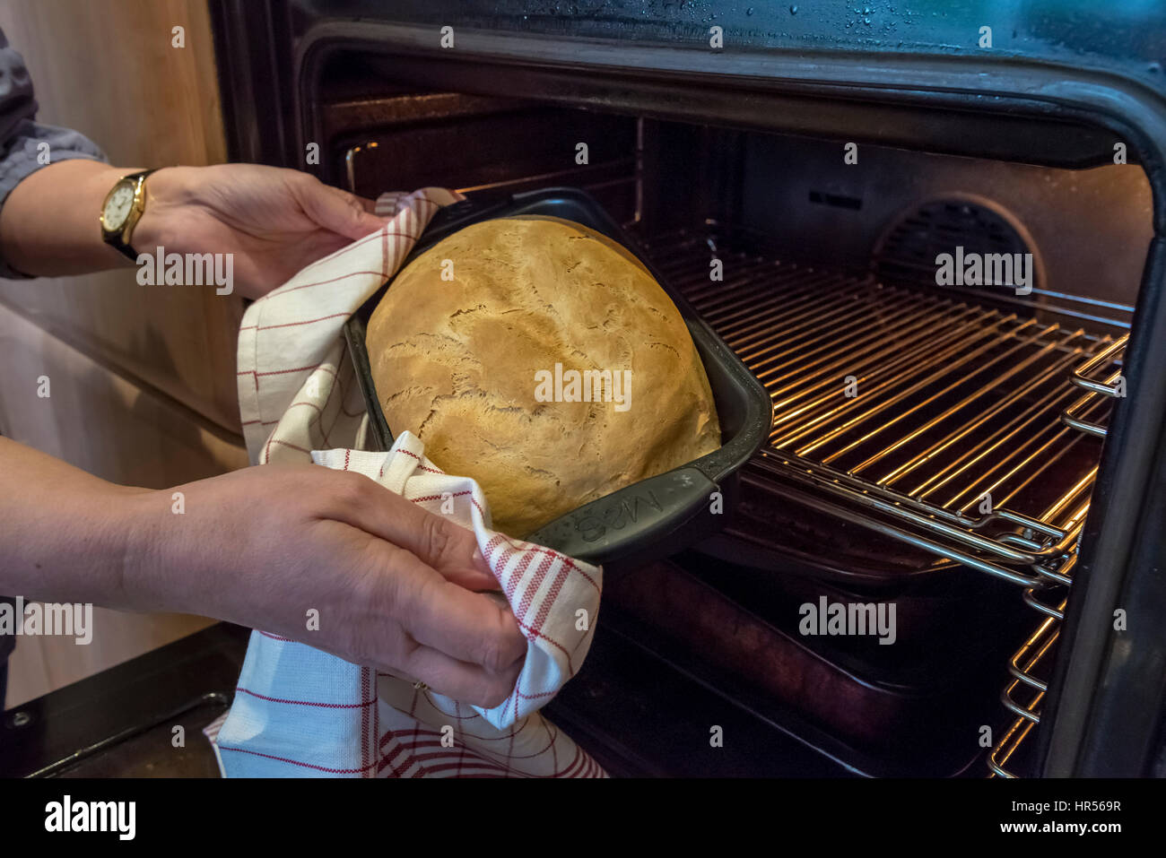 Hausgemachtes Brot frisch aus dem Ofen. Stockfoto