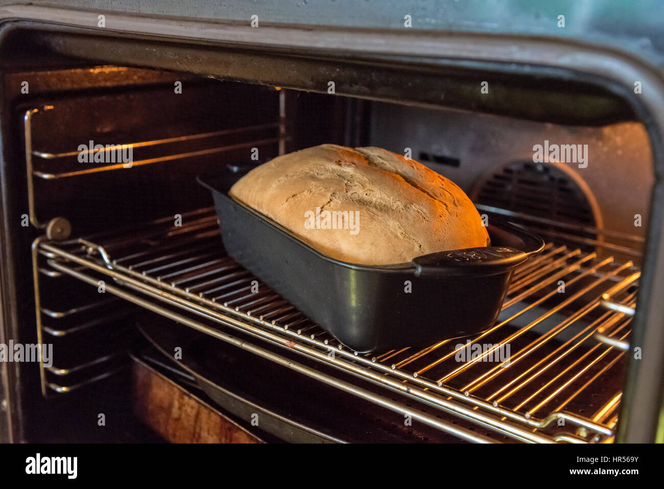 Hausgemachtes Brot frisch aus dem Ofen. Stockfoto
