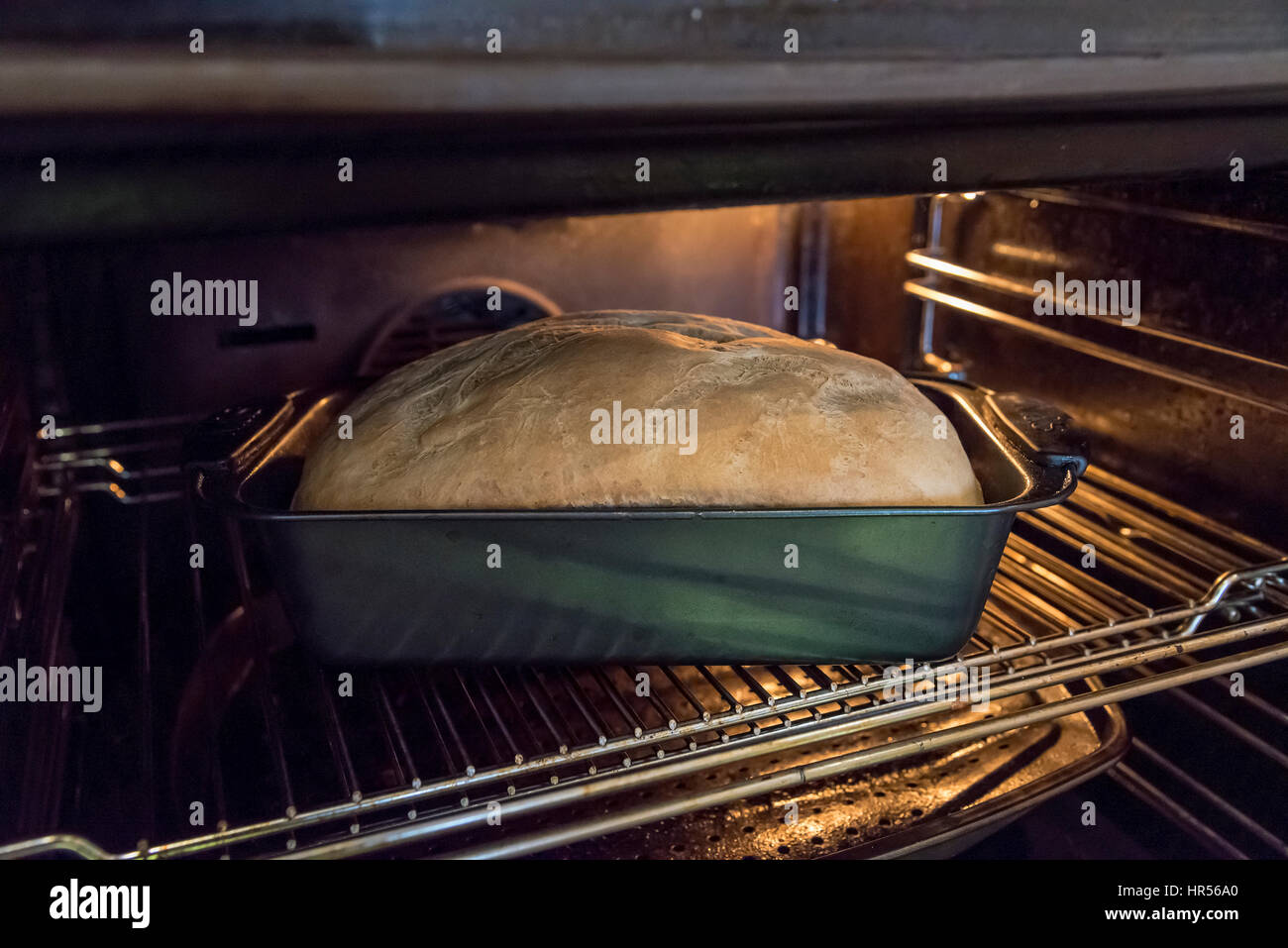 Hausgemachtes Brot frisch aus dem Ofen. Stockfoto