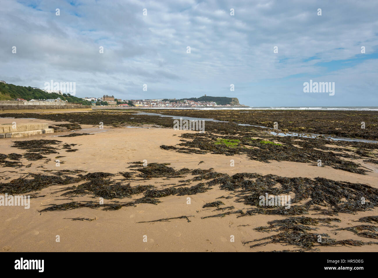 Der Strand von Scarborough an der Küste von North Yorkshire, England. Eine bekannte historische Küstenstadt. Stockfoto