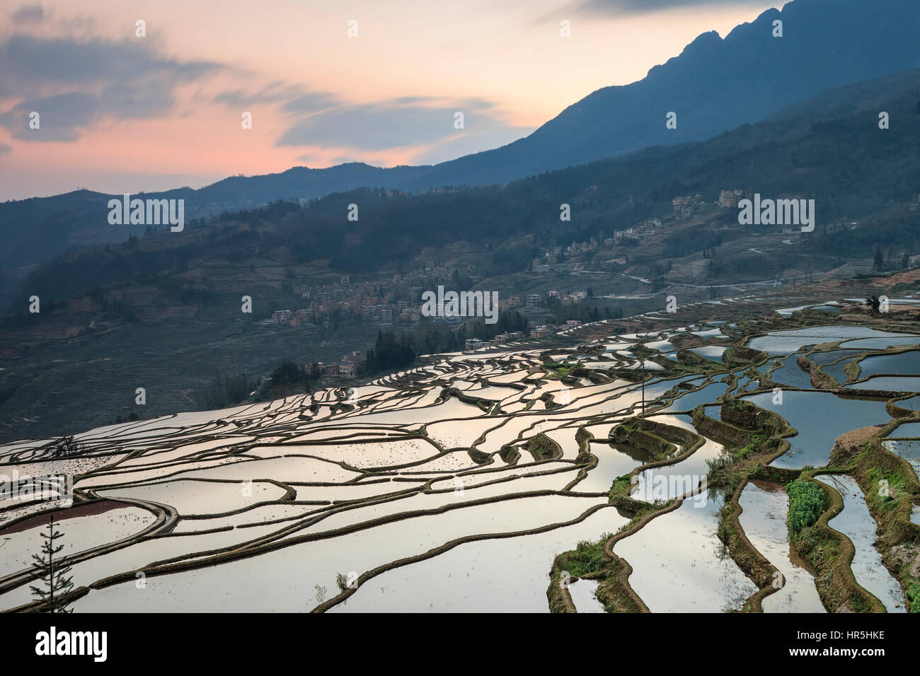 Sonnenaufgang über Reisterrassen von YuanYang in Yunnan, China, eines der jüngsten UNESCO-Welterbestätten Stockfoto