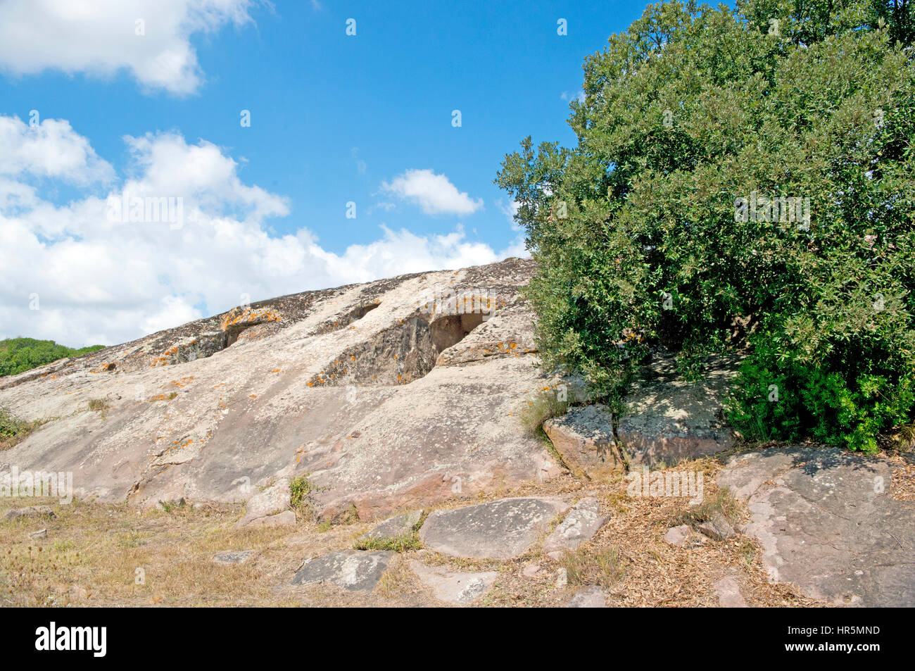 Pre-historische Nekropole Genna Salixi, Villa San Antonio, Oristano Bezirk, Sardinien, Italien, Europa Stockfoto