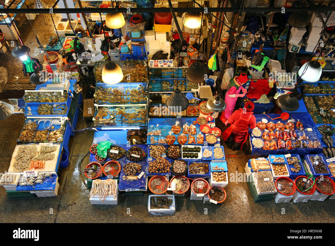 Stände auf Noryangjin Fisch- und Meeresfrüchte-Markt in Seoul, Korea Stockfoto