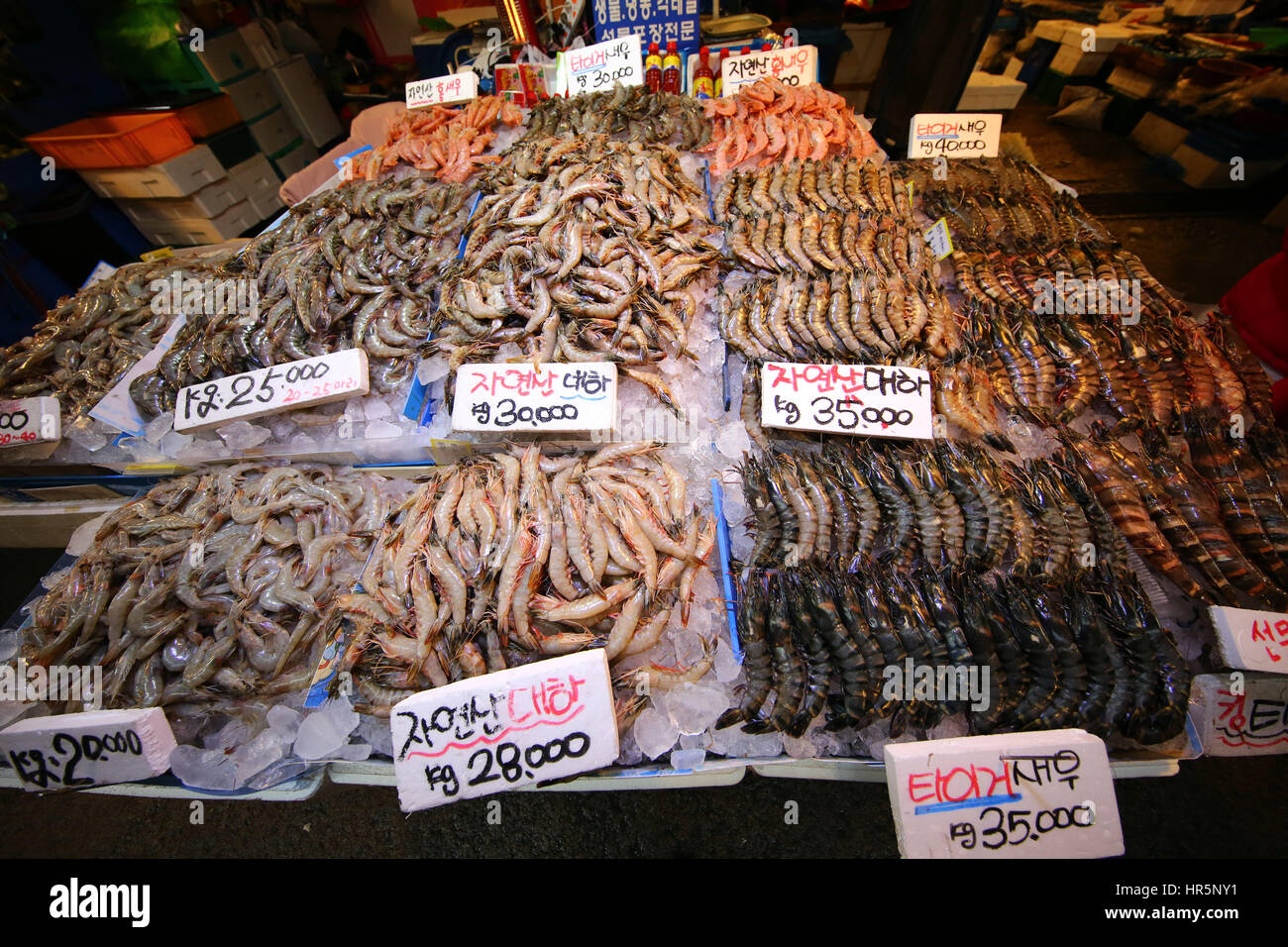 Stände auf Noryangjin Fisch- und Meeresfrüchte-Markt in Seoul, Korea Stockfoto