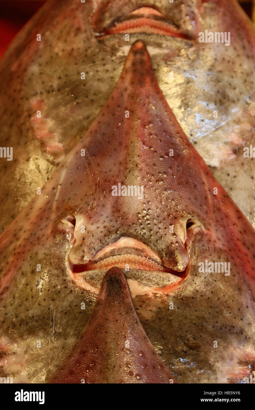 Lächelndes Gesicht von Fisch bei der Noryangjin Fish and Seafood Market in Seoul, Korea Stockfoto