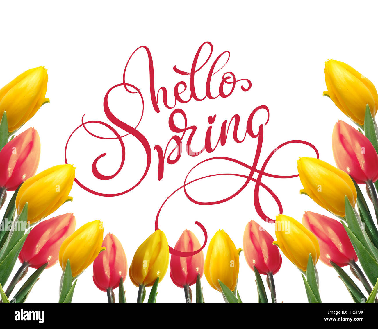 Rahmen der gelbe und rote Tulpen auf einen weißen Hintergrund und Text Hallo Frühling. Kalligraphie-Schriftzug. Stockfoto