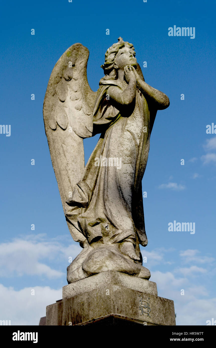Engel aus Stein, beten, Blick nach oben in Richtung Himmel gemacht. Flügel ausgestreckt. Tombstone. Stockfoto