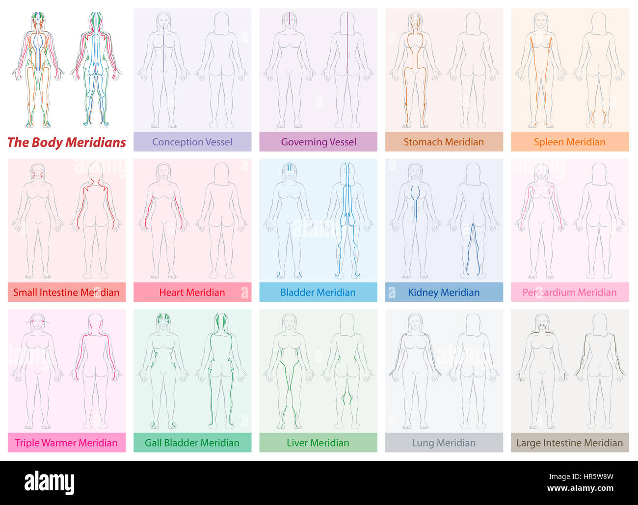 Körper Meridian Kontenplan ein Womans Körper - mit Namen und verschiedenen Farben - traditionelle chinesische Medizin. Abbildung auf weißen Zeitmessung Stockfoto