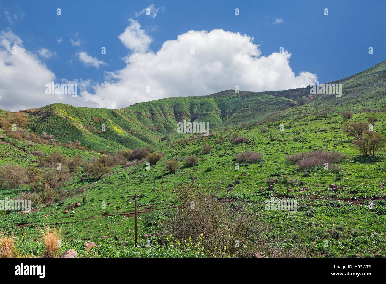 Schöne Frühlingslandschaft von den Golan-Höhen in Israel Stockfoto