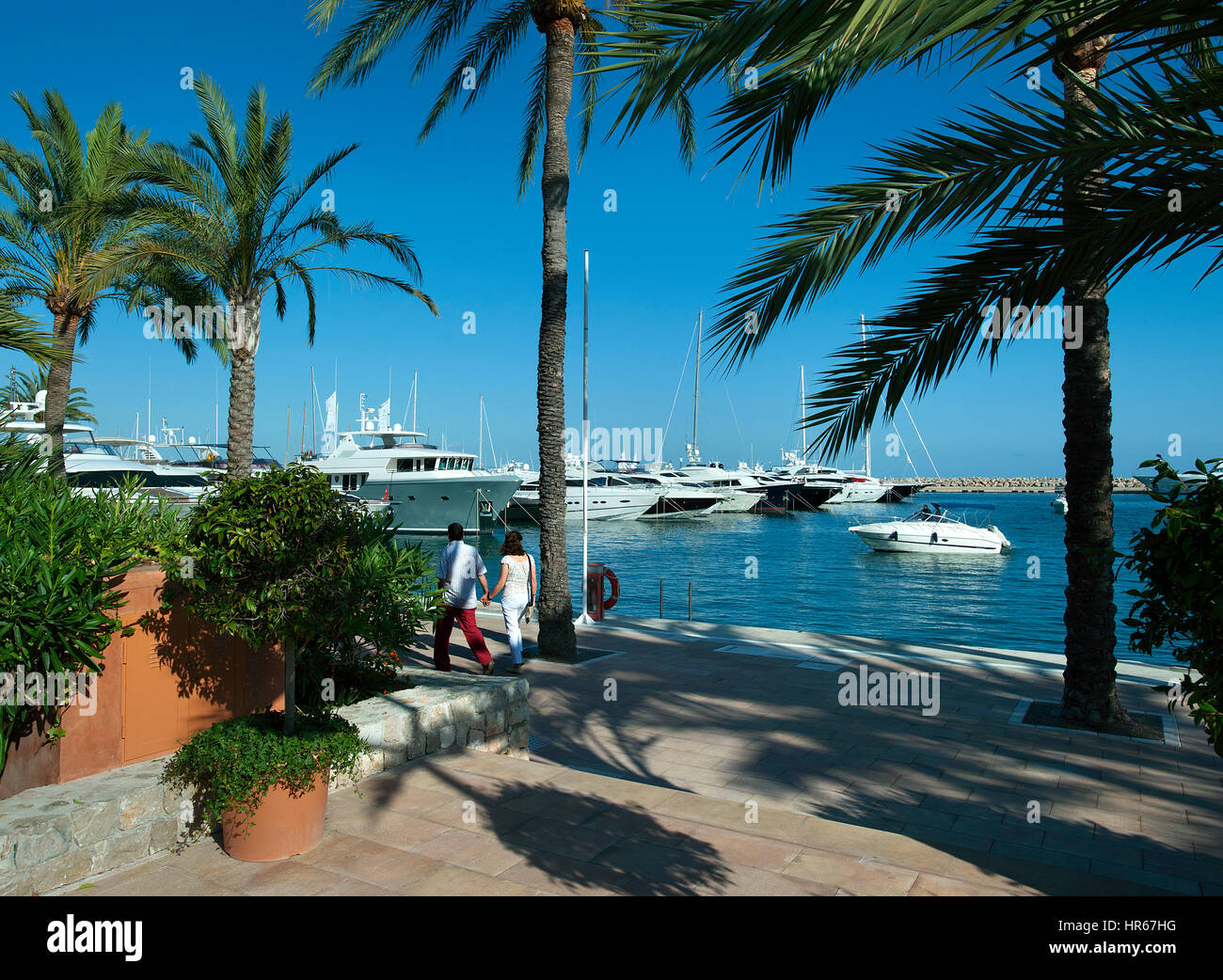 Portals Nous Marina, Mallorca, Balearen, Spanien Stockfoto